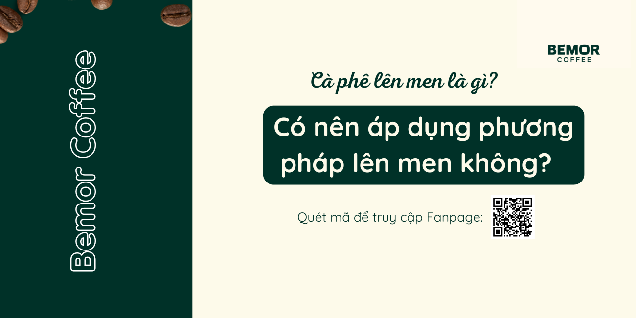 Cà phê lên men là gì? Có nên áp dụng phương pháp lên men không?